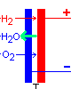 PEMC Fuel Cell